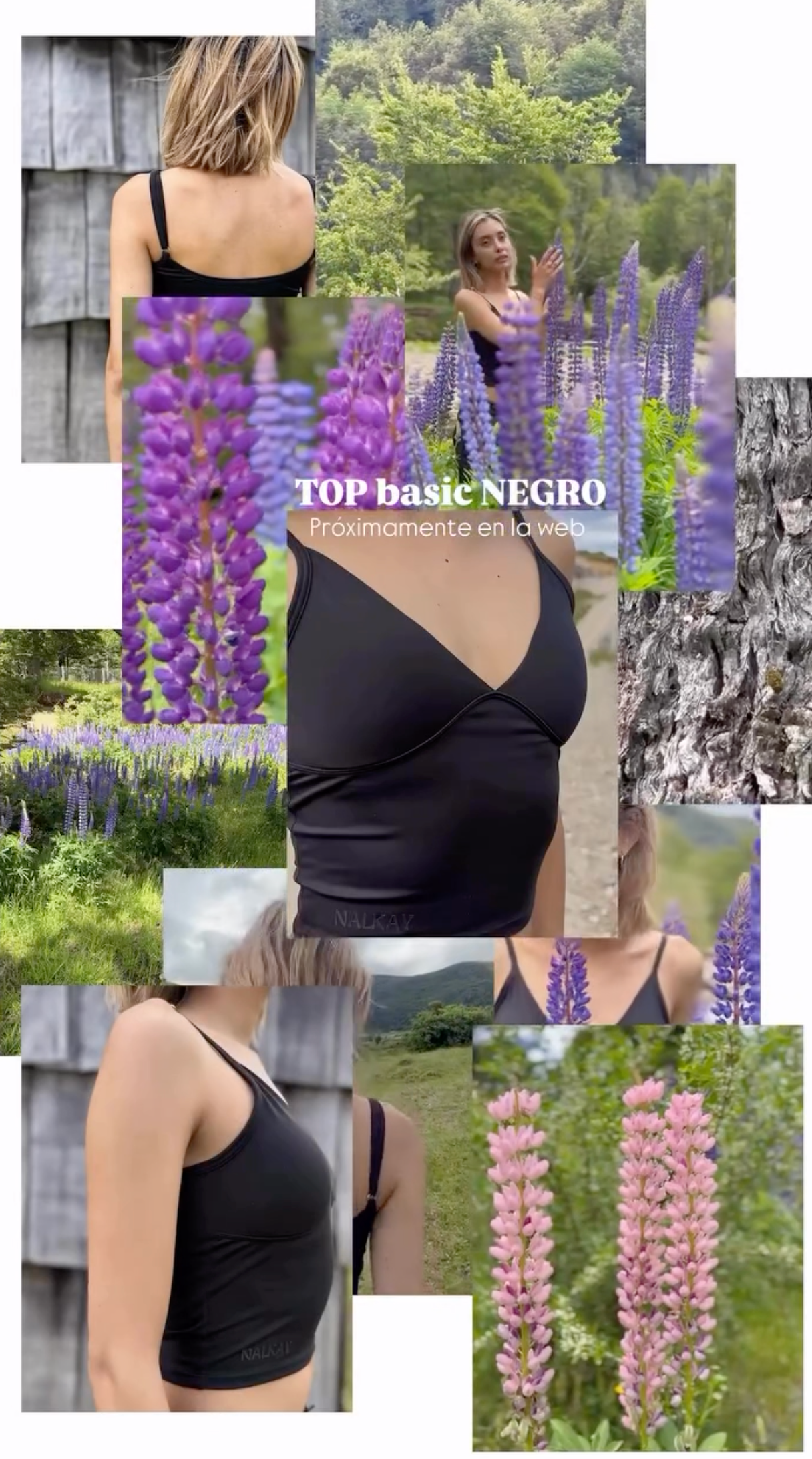 Top Basic - Lago Negro